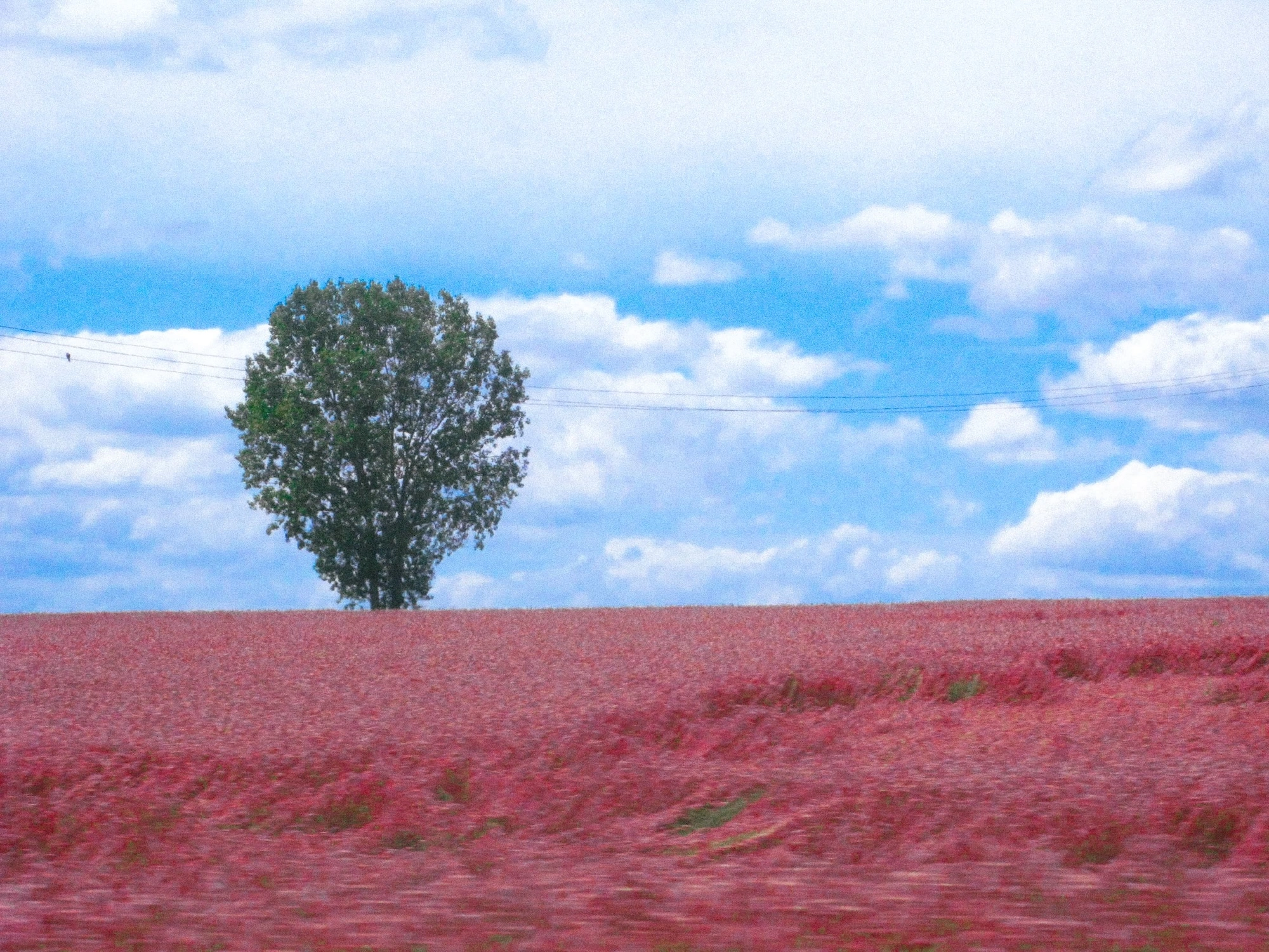 Landscapes Category
