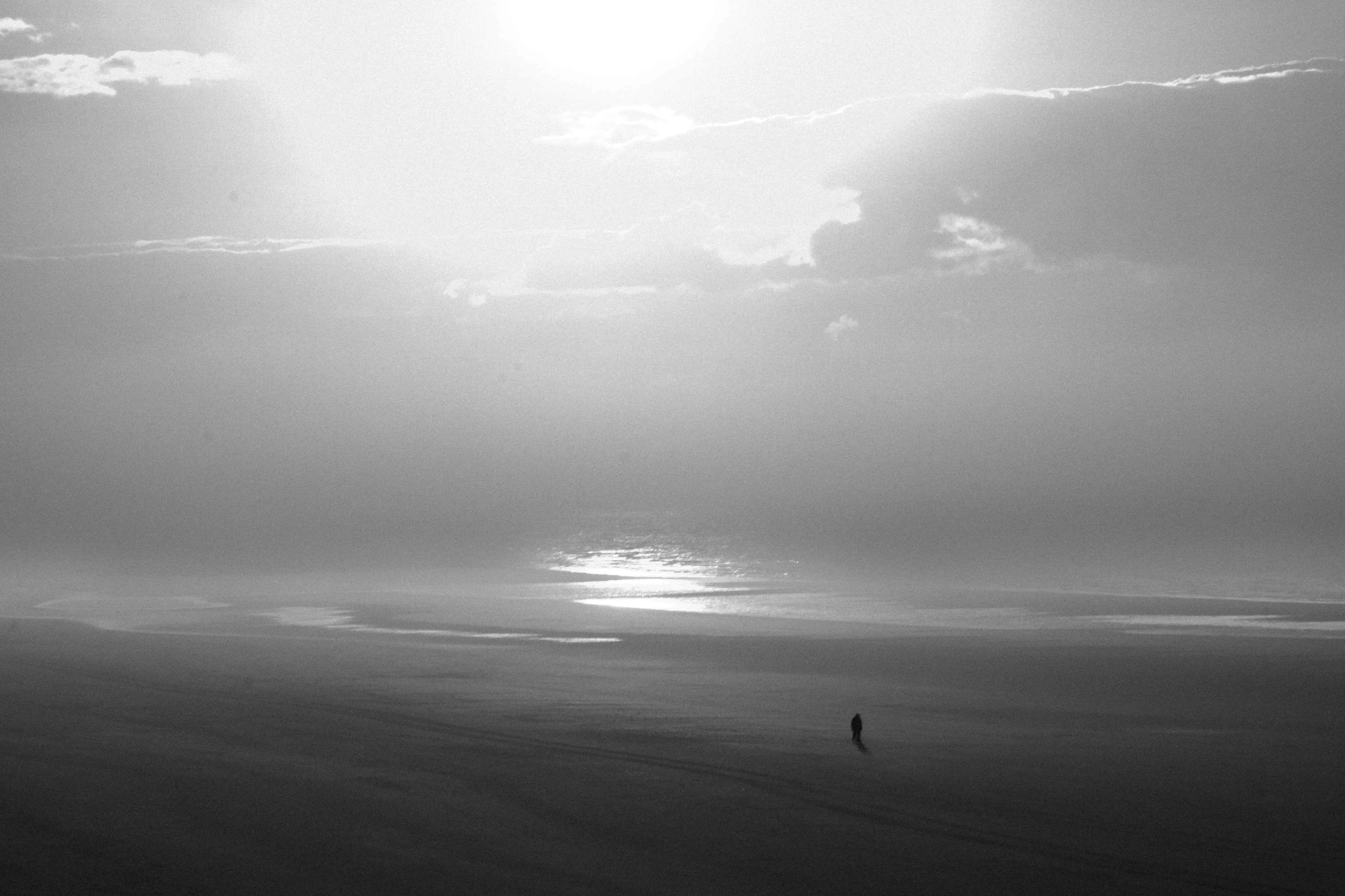 Landscapes 6